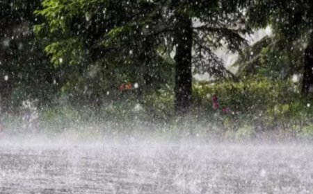 देशभर मनसुनी वायुको प्रभावःयी क्षेत्रमा धेरै वर्षाको सम्भावना