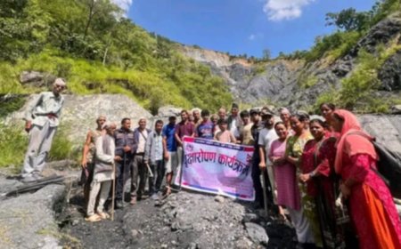 सुनपहिरोमा गाउँपालिकाद्वारा वृक्षारोपणःपहिरोको समस्या न्युनिकरण हुने विश्वास