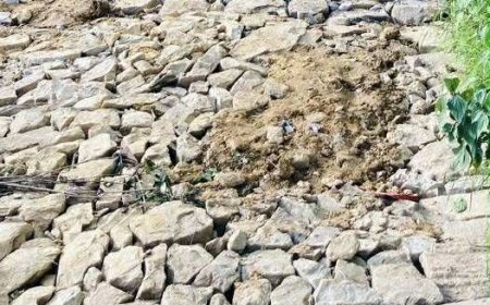 पाण्डबखानीको डाग्डीखोला–झिर्का सडक मर्मत