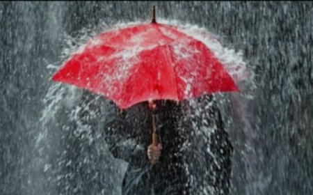 लुम्बिनीका तीन जिल्लामा धेरै वर्षा   