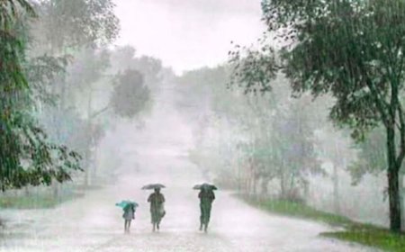 भोलिदेखि मनसुन  थप सक्रियः-देशका धेरै ठाउँमा वर्षाको सम्भावना