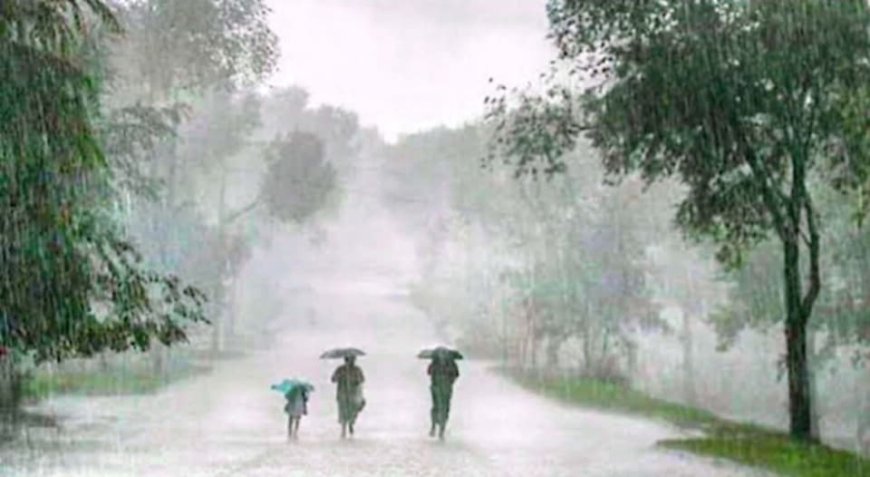 भोलिदेखि मनसुन थप सक्रियः-देशका धेरै ठाउँमा वर्षाको सम्भावना